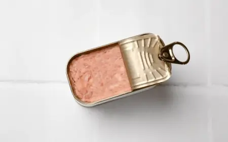 Canned Meat Market Size, Demand, Forecast 2025 - 2033