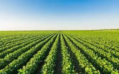 Global Crop Reinsurance Market 2030: Demand & Forecast