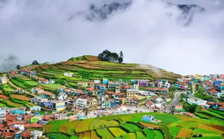 Explore the extraordinary wonders of Kodaikanal