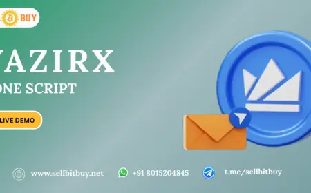 Digital Asset Trading: The Advanced Role of WazirX Clone Script