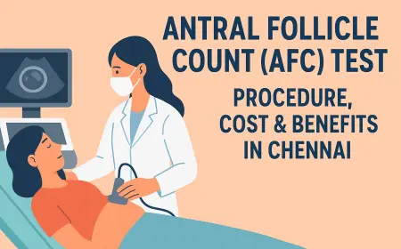 Antral Follicle Count (AFC) Test Explained – Procedure, Cost & Benefits in Chennai