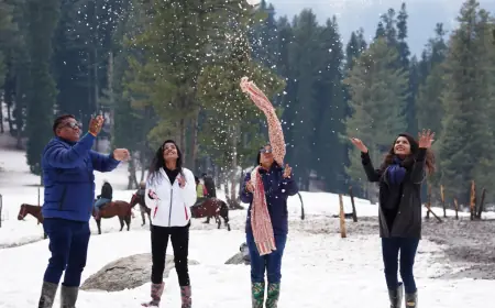 Discovering Kashmir: A Beautiful Journey from Chennai and Kerala