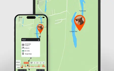 Exploring the Best Dog Trackers: A Guide for Responsible Owners
