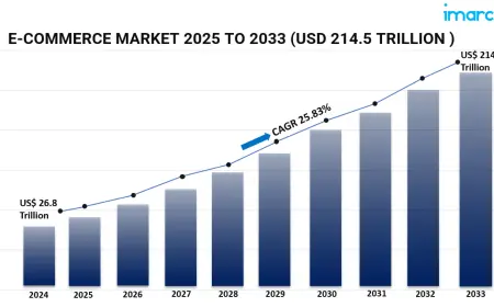 Global E-Commerce Market Trends, Opportunities, and Future Outlook 2025-2033