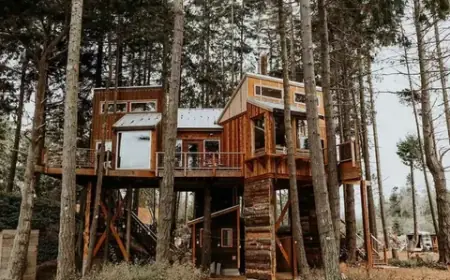 Top 20 Companies in The Treehouse Glamping Market 2025: Statistics Report 2035