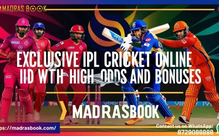 How to Use Your Cricket Online Betting ID for IPL & T20 Matches
