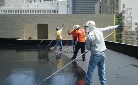 The Dual Pillars of Property Care: Installing Paver Walkways and Professional Roof Waterproofing Services