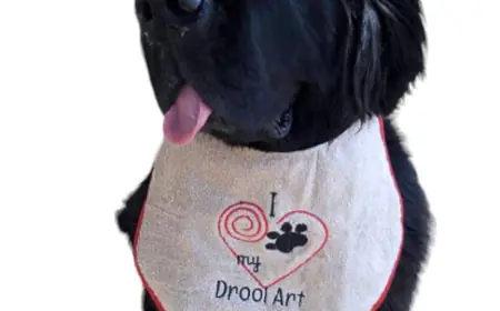 Big Dogs Drool Bibs Blend Comfort, Personality, And Everyday Style