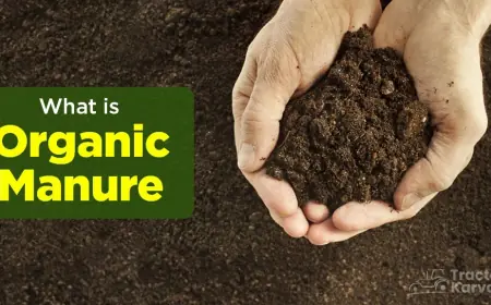 Learn About Organic Manure, its Types and Benefits