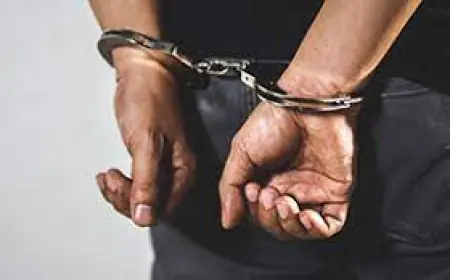 Arrest to Appeal: What Happens When You’re Arrested?