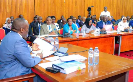 Speaker Among Halts COSASE Probe into the Giveaway of Nakivubo Channel Redevelopment Project to Tycoon Ham