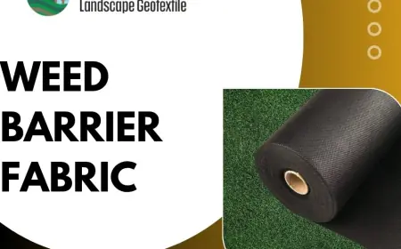 Weed Barrier Fabric: The Secret to a Low-Maintenance Garden