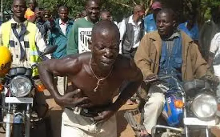 Gov’t Official Stung by Bees After Seizing Land From Poor Villagers