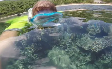 Car Hire Fiji: The Ultimate Guide for First-Time Visitors