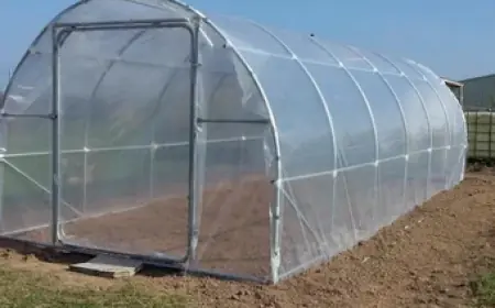 Strong White Greenhouse Plastic for Commercial Farming Use