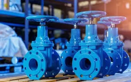 INDUSTRIAL VALVE SUPPLIERS IN INDIA