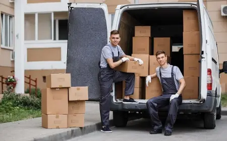 Green Moving on a Budget: How Cheap Movers Melbourne Support Sustainable Relocations