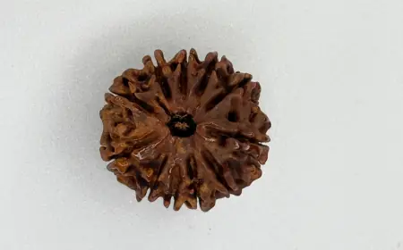 Natural 11-Mukhi Nepali Rudraksha – Clarity, Strength & Spiritual Growth