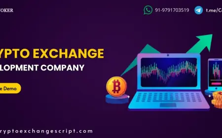 Building Crypto Exchanges as Financial Ecosystems: Development Services Behind the Innovation