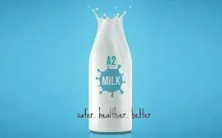 A2 Milk Market Demand Expected to Increase Due to Growing Awareness About Lactose Intolerance and Nutrition