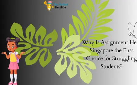 Why Is Assignment Help Singapore the First  Choice for Struggling Students?