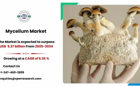 Mycelium Market Developments and Business Opportunities 2034