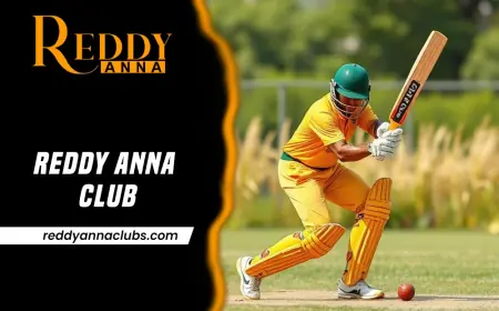 Reddy Anna Club: Changing the Face of Betting