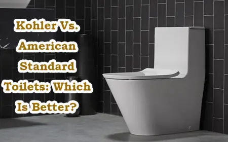 Best Toilets: What Makes a Model Truly Top-Tier?