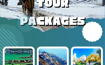 Your Complete Guide: How to Pick the Right India Tour Package