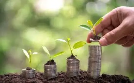 Impact Investing Market 2030: Drivers, Trends and Key Outlook