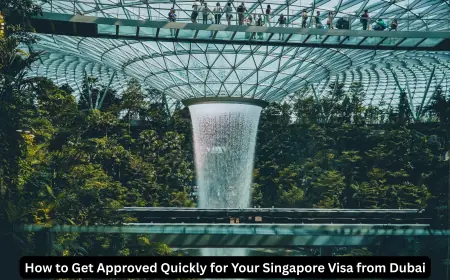 How to Get Approved Quickly for Your Singapore Visa from Dubai