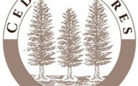 Lakefront Vacation Rentals Michigan – Your Perfect Getaway