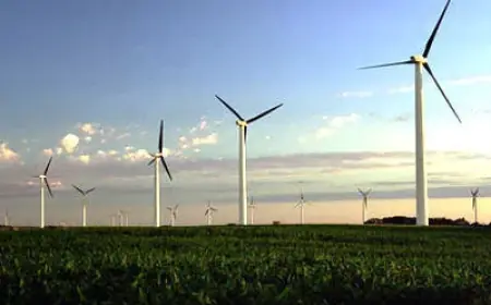 Growing Wind Turbine Forging Market : An Analysis of Trends and Drivers