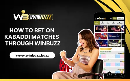 How to Bet on Kabaddi Matches Through Winbuzz