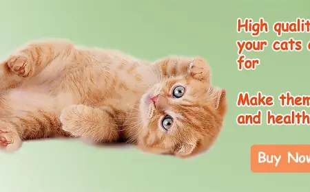 Wise Pet – Your Trusted Online Pet Shop in Hong Kong