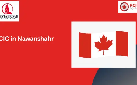 Expert RCIC in Nawanshahr Can Help You Realize Your Canadian Dream