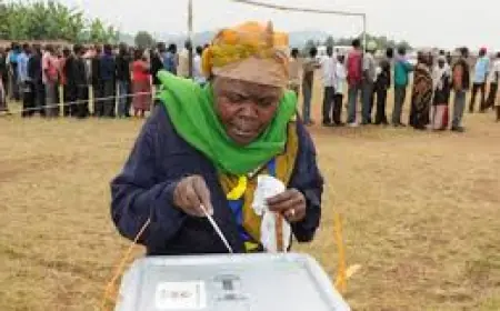 “How I Finally Won Elections After Years of Defeat” Politician Reveals