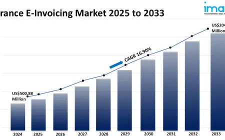 France E-Invoicing Market Size, Share, Growth, Demand And Report 2025-2033