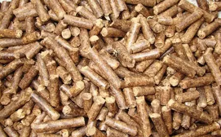 Biomass Pellets Manufacturing Plant Cost Benchmarking 2025: Feasibility and Profitability Roadmap for Investors