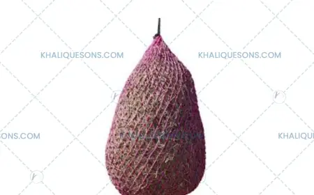 Horse Haynets Manufacturers: Enhancing Feeding, Comfort, and Sustainability