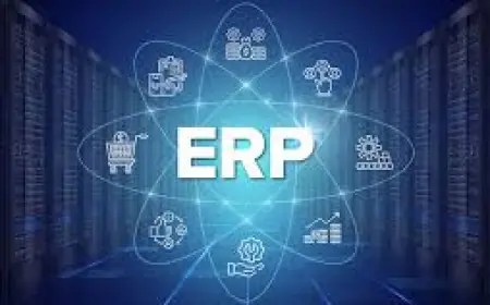 Understanding How Much an ERP System Costs: Your 2025 Cost Overview