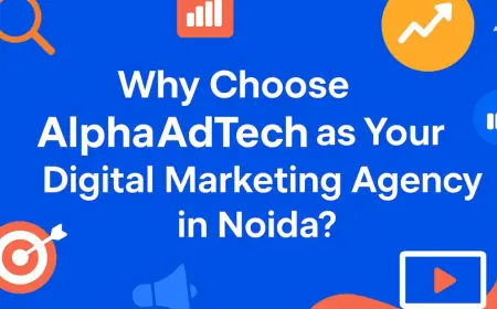 Why Choose AlphaAdTech as Your Digital Marketing Agency in Noida?