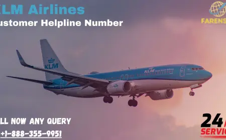 Does KLM Have Free Cancellation? | Customer Helpline Number