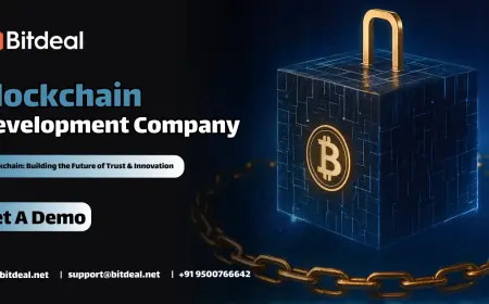 Blockchain Development Company: Building the Infrastructure of Tomorrow’s Internet