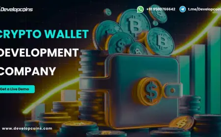 Transform Your Digital Assets: Advanced Crypto Wallet Development Company for Global Wealth