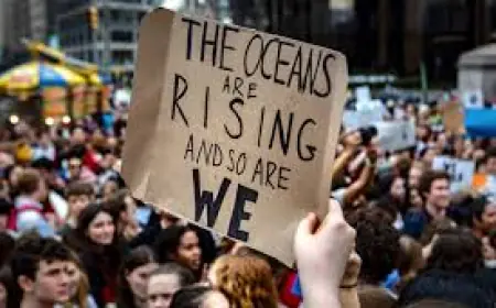 How Youth Movements Are Reshaping Political Landscapes