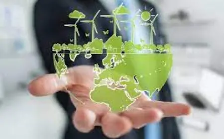 Sustainable Business Practices Driving Growth