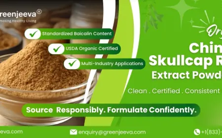 Why Formulators and Procurement Teams Are Turning to Organic Chinese Skullcap Root Extract Powder 4:1