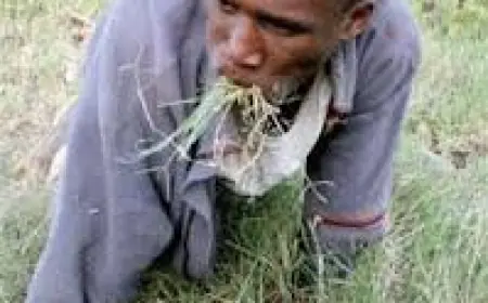Thief Found Eating Grass, Wetting Himself While Laughing Days After Robbing Popular Nyeri Supermarket