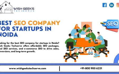 Best SEO Company in Noida For Driving Sales & Conversions – Wish Geeks Techserve